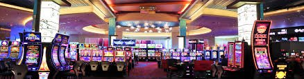 bj baji Evolution Live Dealer Rooms